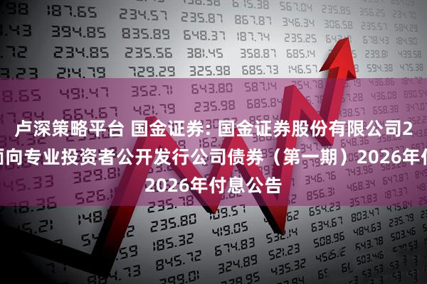 卢深策略平台 国金证券: 国金证券股份有限公司2024年面向专业投资者公开发行公司债券（第一期）2026年付息公告